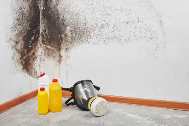 Best Post-Remediation Services in Catahou, LA