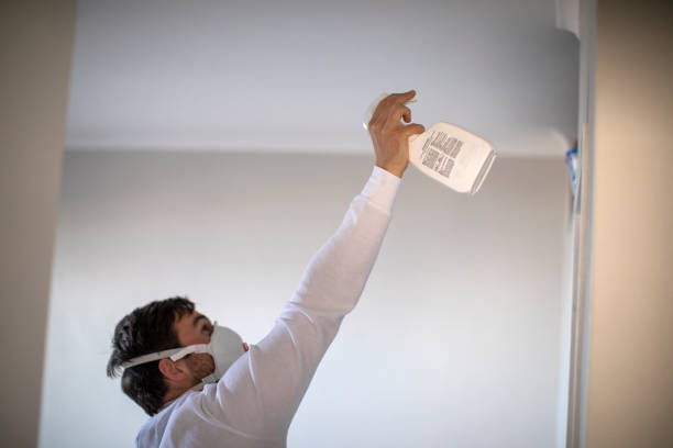 Best Attic Mold Remediation in Catahou, LA