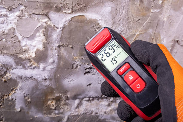 Best Crawl Space Mold Remediation in Catahou, LA
