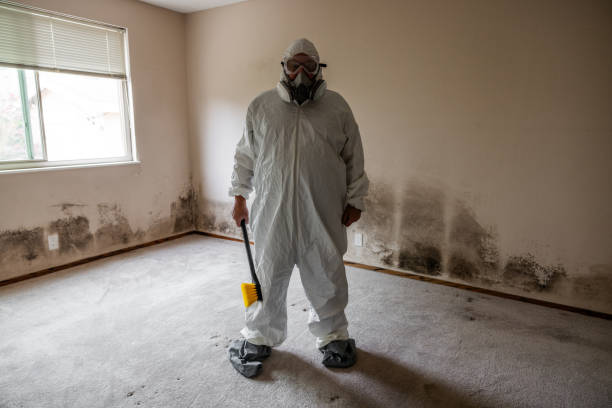 Best Mold Remediation for Specific Building Types in Catahou, LA